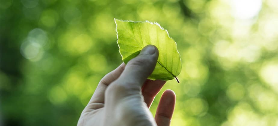 Green Skills