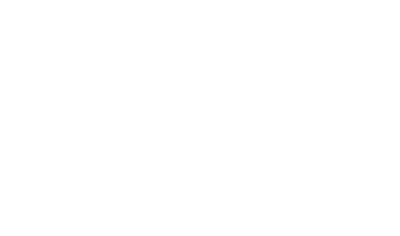Dale Carnegie